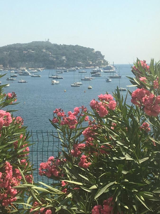 Lisa V Apart Cannes Luaran gambar